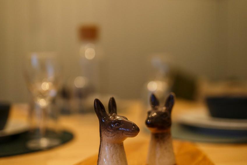 Gemütliche Wohnung in Geidorf mit Garten, Grazer Dom-Nähe - foto 18