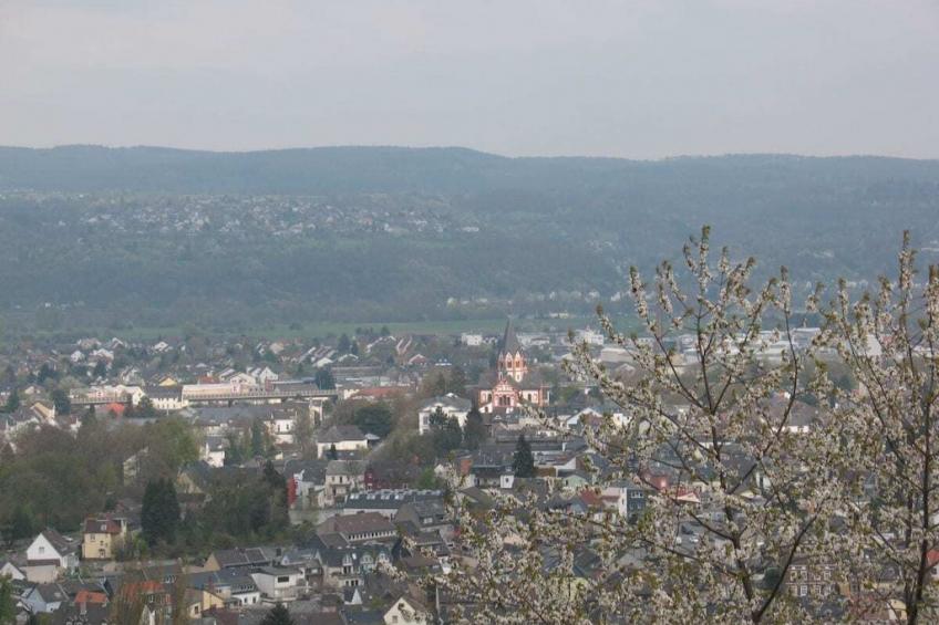 48469 - foto 10