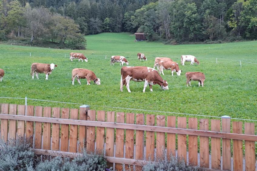 Chalet Anna - foto 16