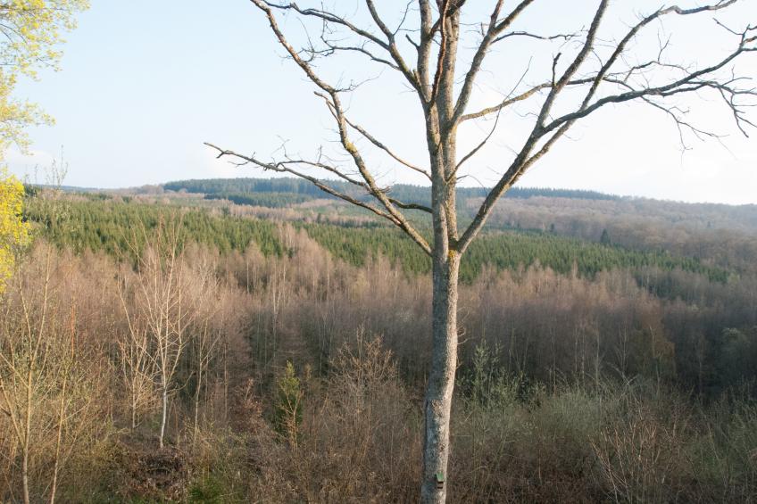 Le Trou du Loup - foto 30