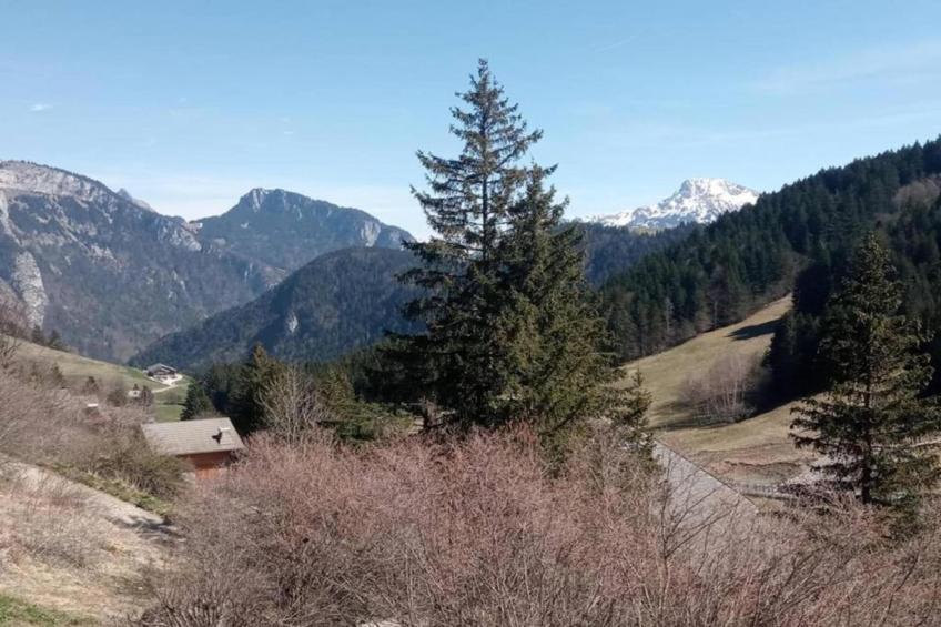 Chalet Sherwood Forest - foto 30