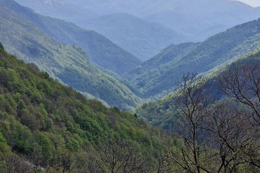 Casa Piccola - foto 19