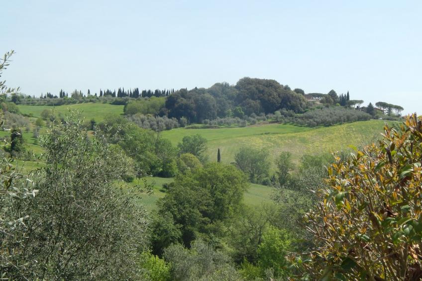 Studio im ersten Stock eines Landhauses - foto 21