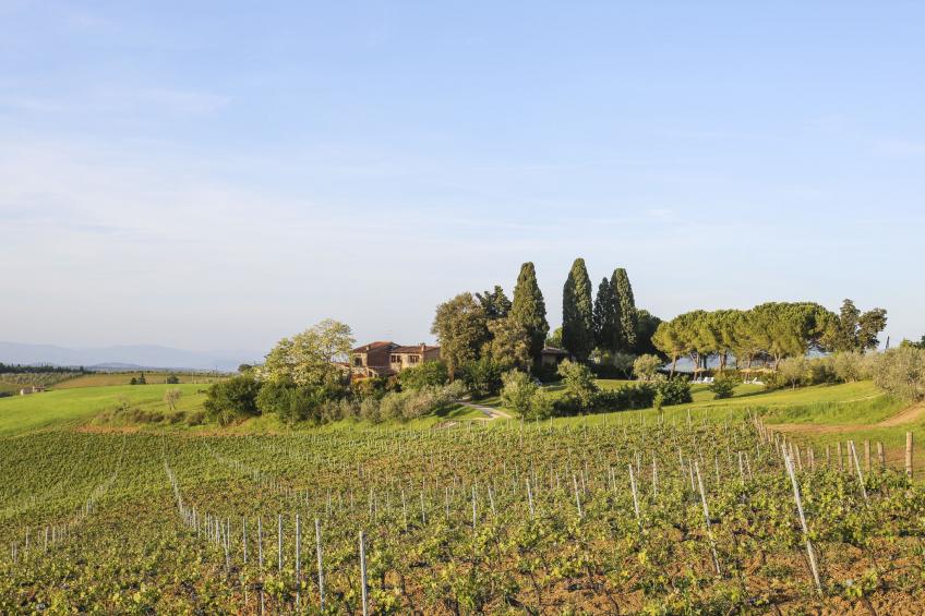 Podere Campiglia (TVN194) - foto 27