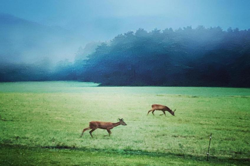 La Chaumière - foto 33
