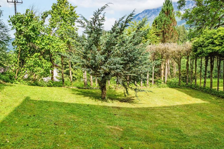 Studio Esche 1 - foto 29