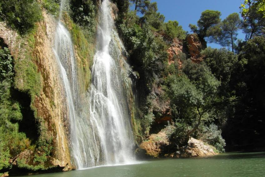 pin parasol - foto 12