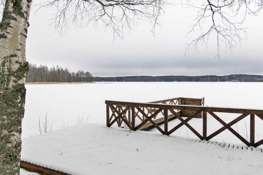 Aurinko vanaja - foto 24