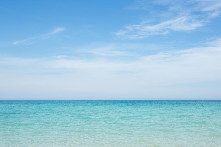 Flaches Meer aus Kiefernholz - foto 25