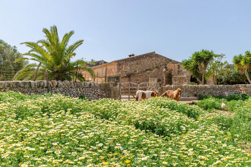 YourHouse Son Sala Agroturismo Vina Vella - doble - foto 6
