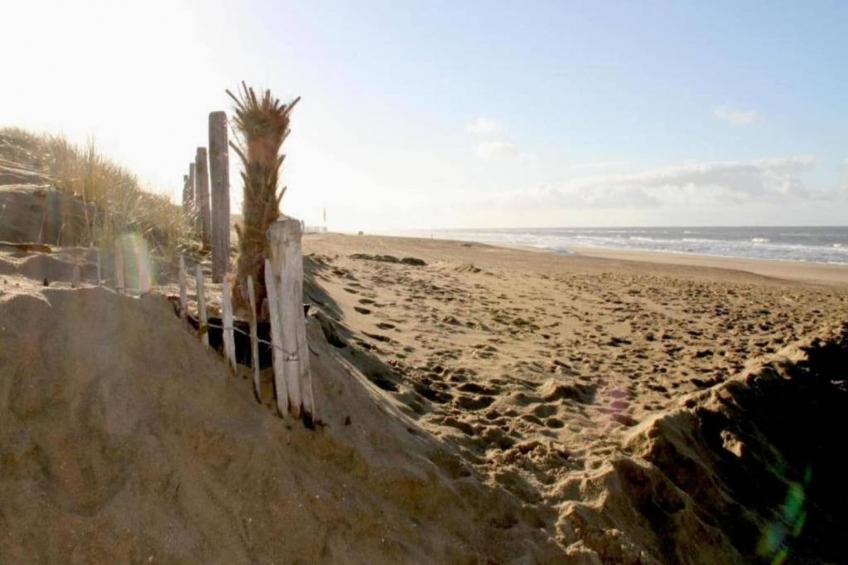 Vakantiepark Duinrust 3 - foto 37