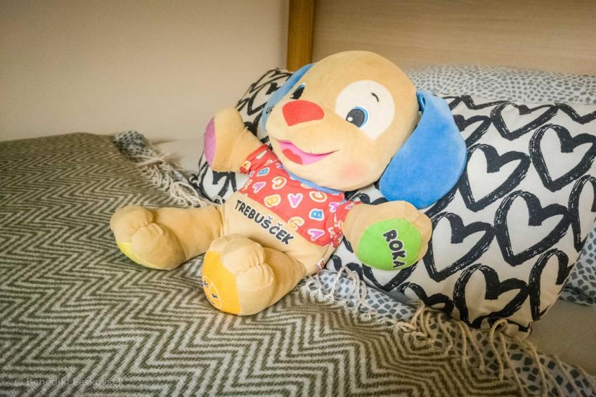 Rustic Refuge Glamping with Hot-Tub and Sauna - Two Bedroom Apartment with Terrace - foto 12