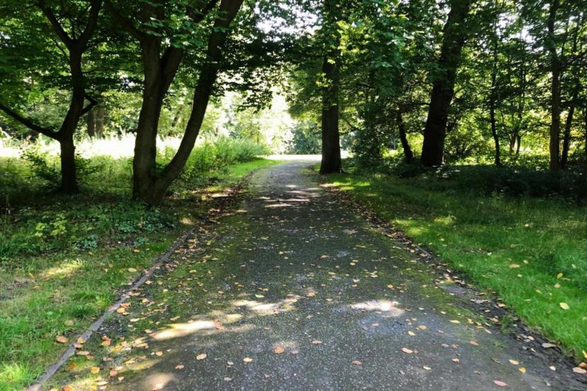 Ferienwohnung Der Anker - foto 34