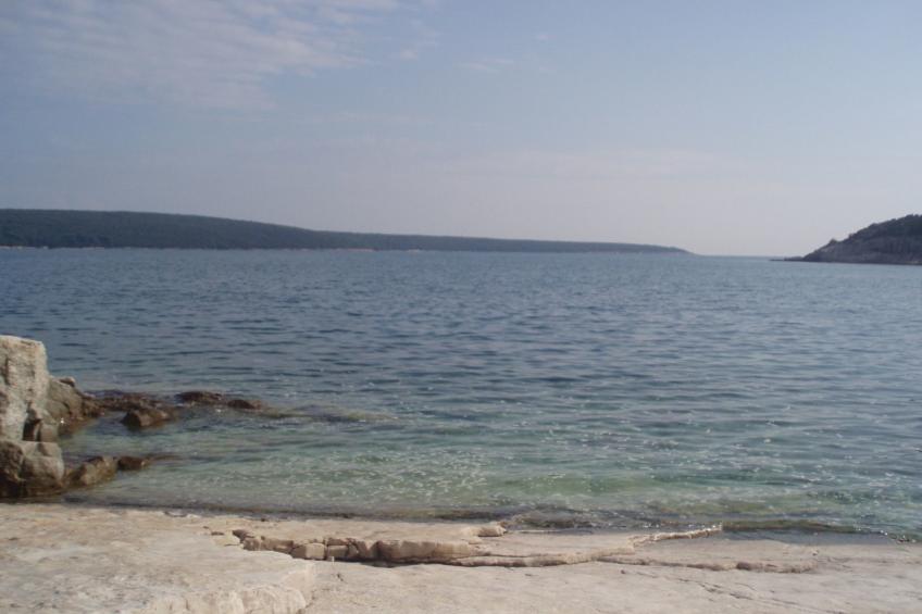 in Kavran mit Terrasse und Grill - foto 47