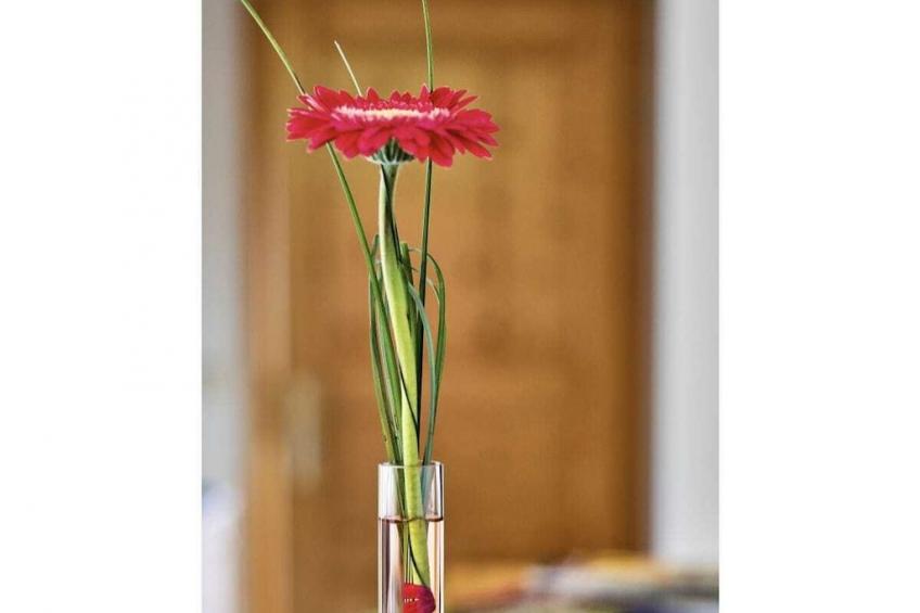 3821 - foto 16