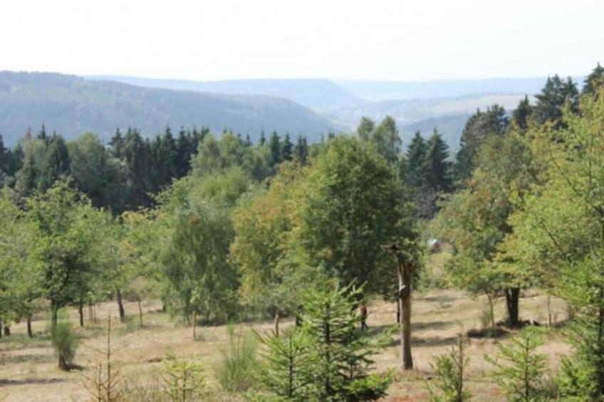 Ferienhaus Konrad - foto 5