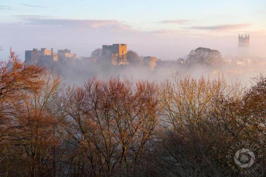 Netley Hall - Rose - foto 44