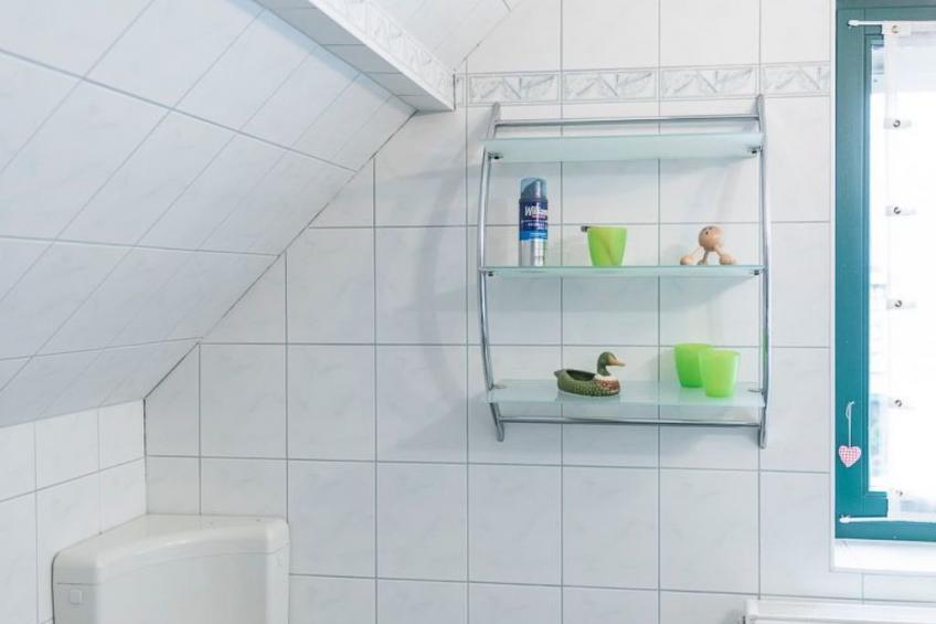 Löwenzahn mit Holu - foto 13