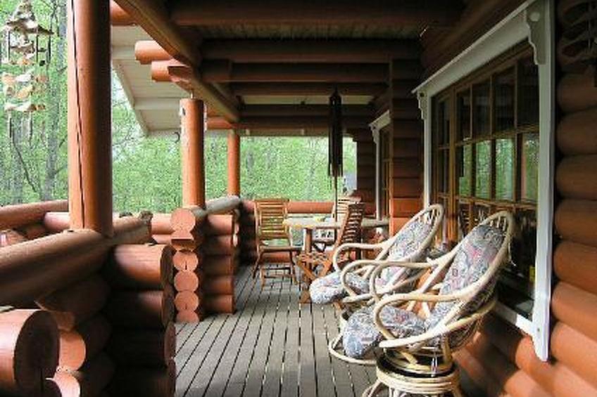 Koivurinne - foto 19