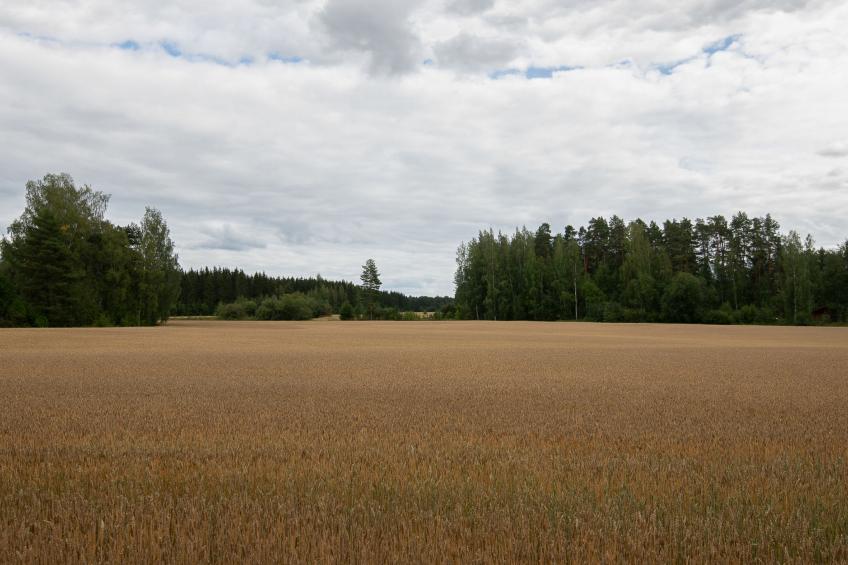 Virtaan kartanon väentupa - foto 12