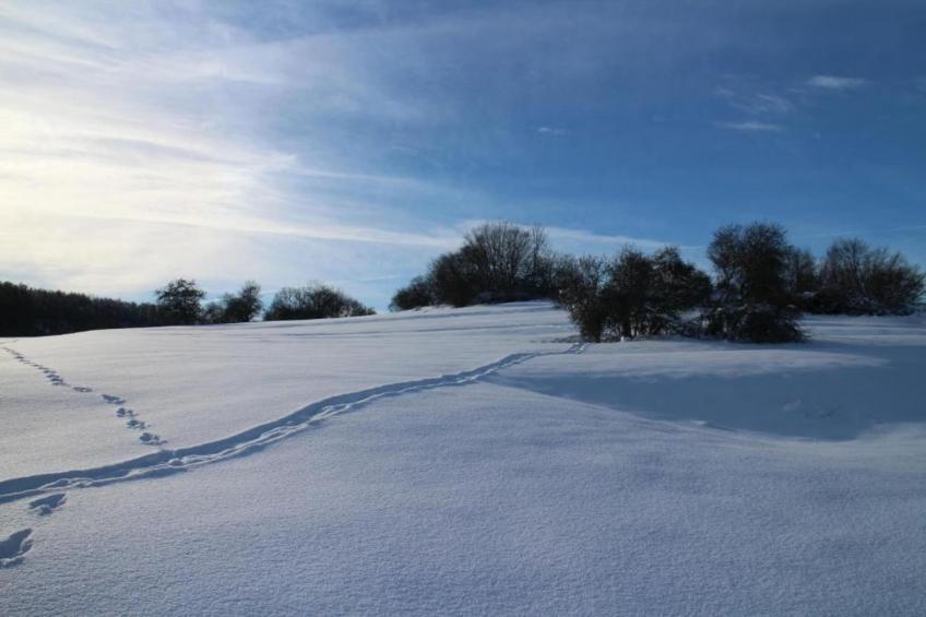 Ferienwohnung Thale - foto 26