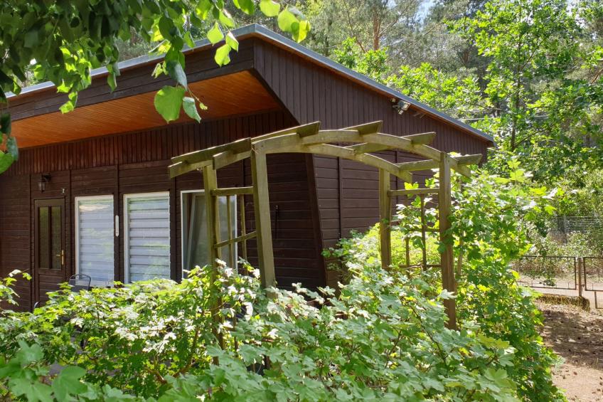 Holz-Bungalow mit Terrasse - foto 2