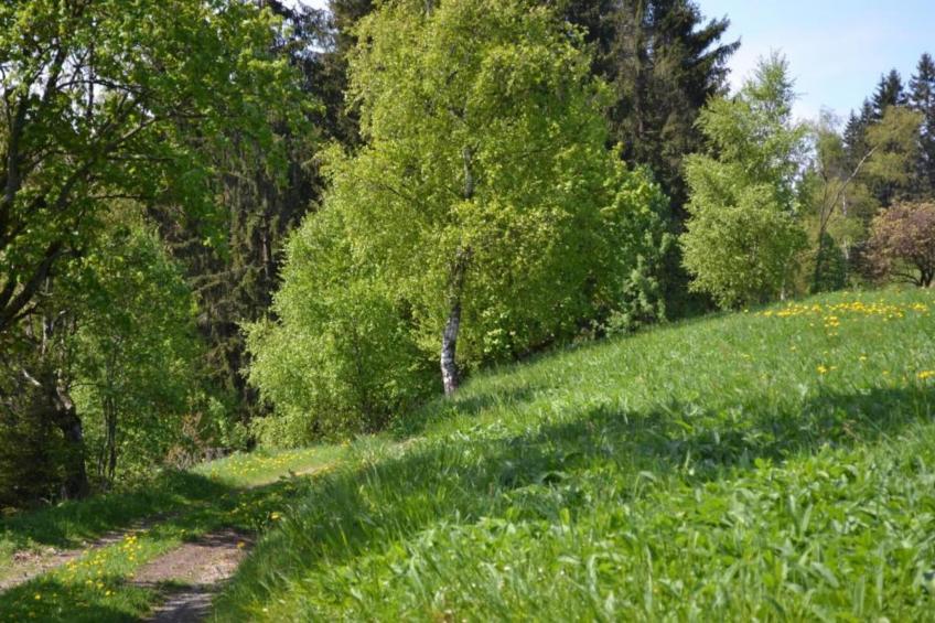 Ferienwohnung Veranda in Harz Wildemann - foto 40