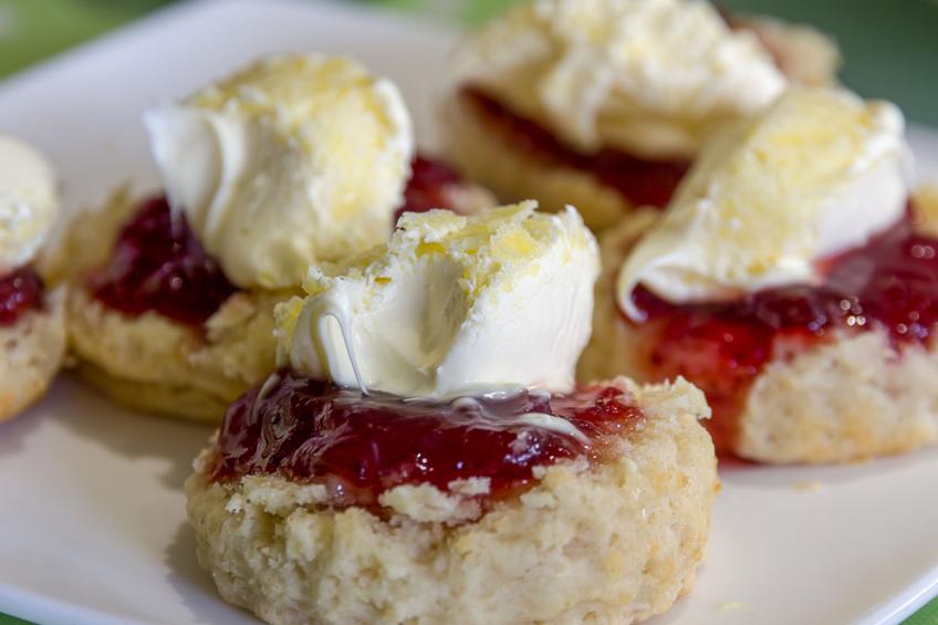 Jenny Wren - foto 20