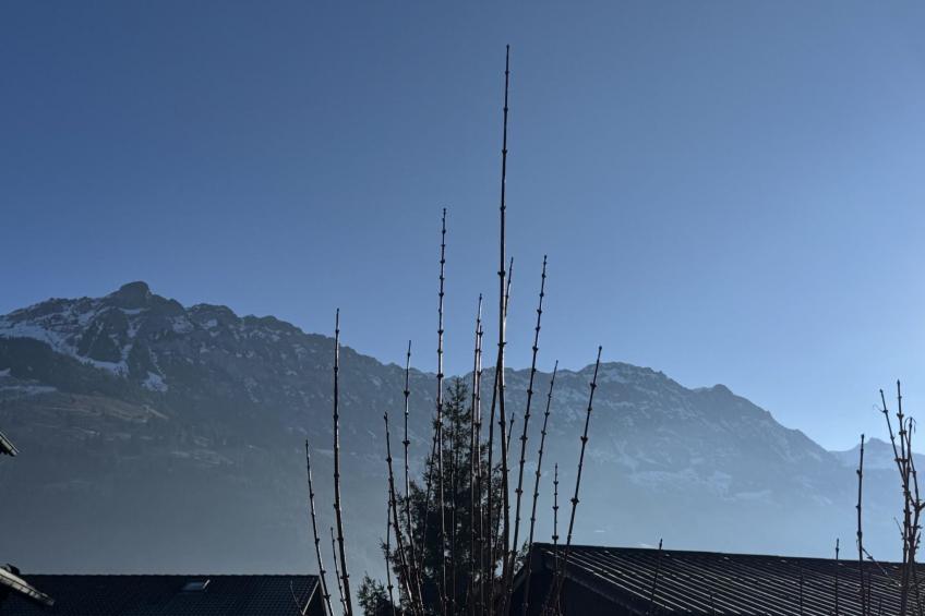 Valley Appartement - foto 7