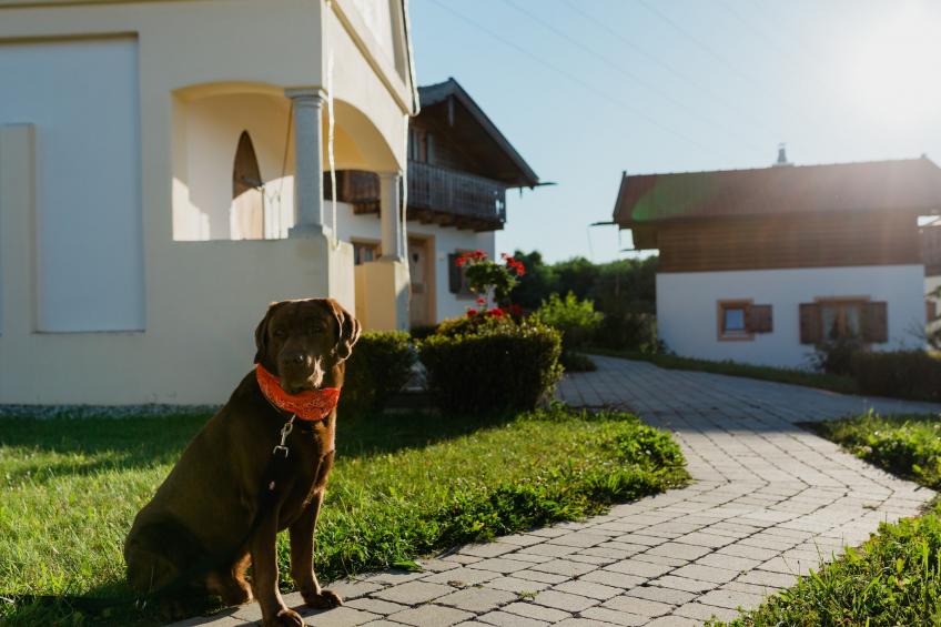 Vital Ferienhaus - foto 15