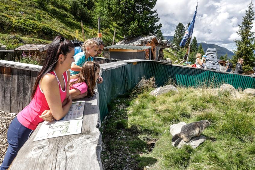 Ferienunterkünfte Thaler Hütte, Hochfügen - Typ B - foto 26