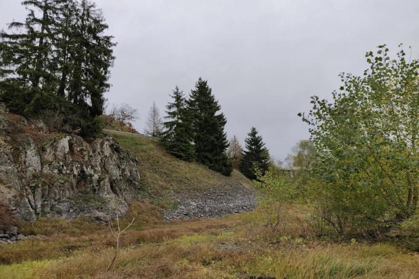 Ferienhaus in Hasselfelde - Haus 47 Blauvogel - foto 35