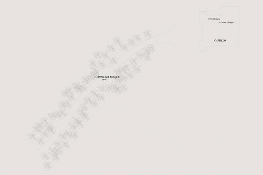 Maison à Sant Hilari Sacalm - foto 93