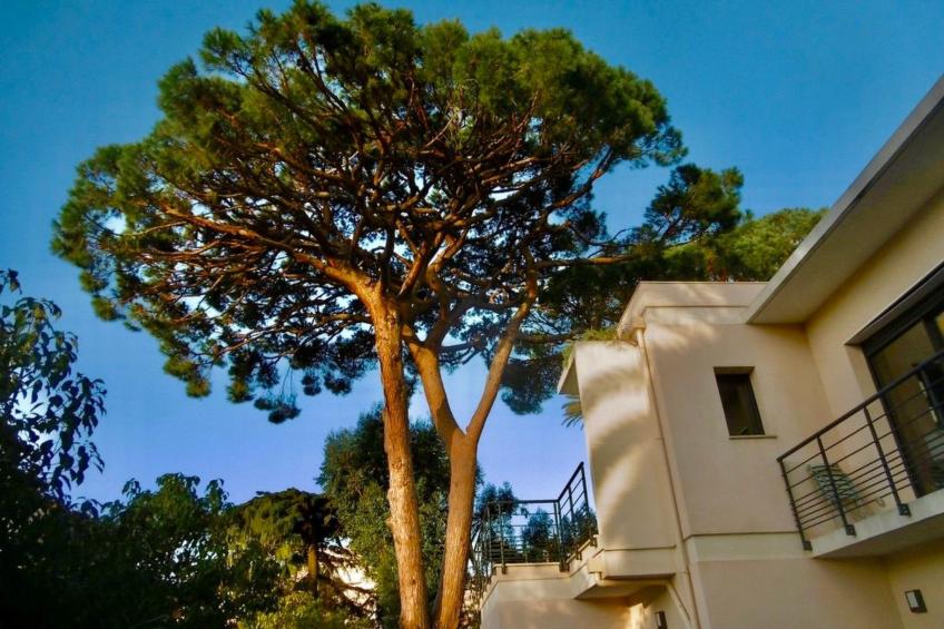 Villa Mascotte - foto 48