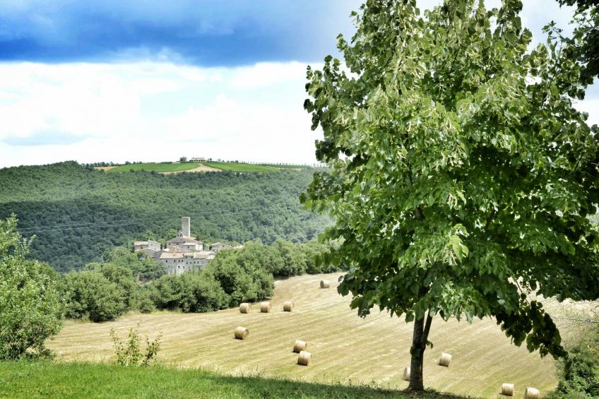 Das Walnusshaus - foto 21