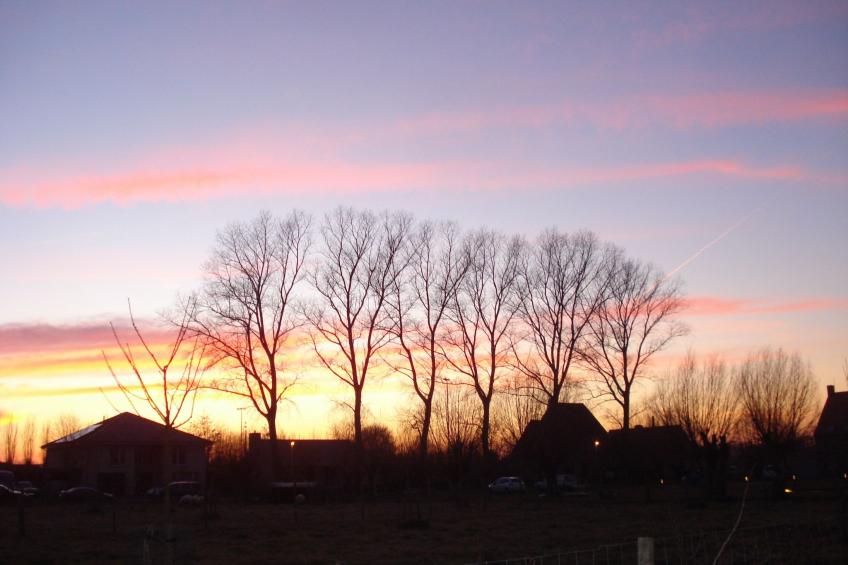 Blackthorn für 6 Personen - foto 14