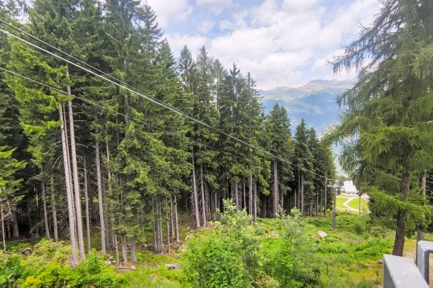 Tra le Piste - foto 8