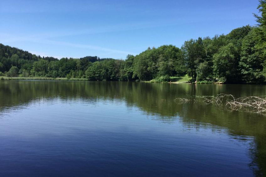 mit Panoramablick - foto 26