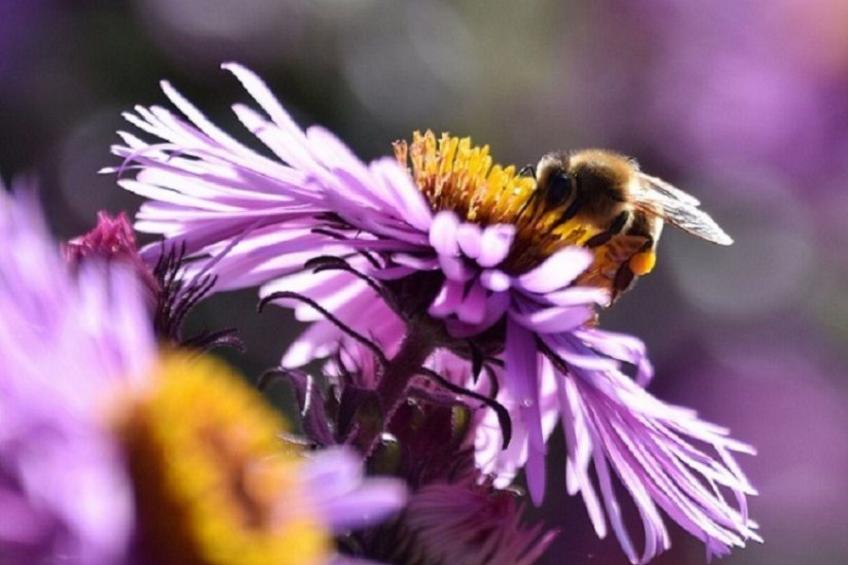 Stadt Apartement - foto 32