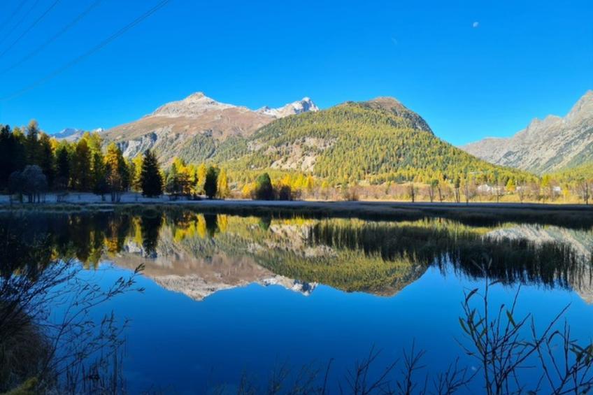 Albula B Chasa Nana, (Bergün/Bravuogn), 232 - foto 48