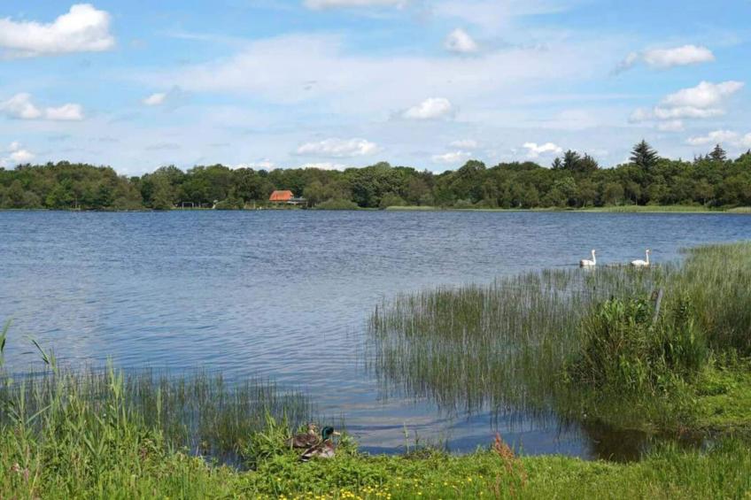 BF-YFMP4 - foto 5