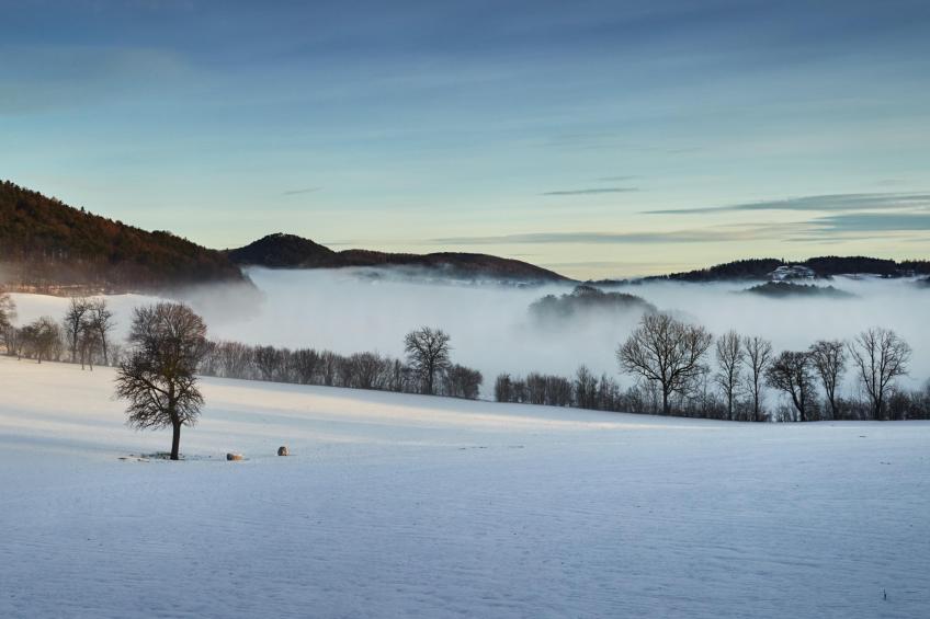 Wienerwaldblick - foto 17