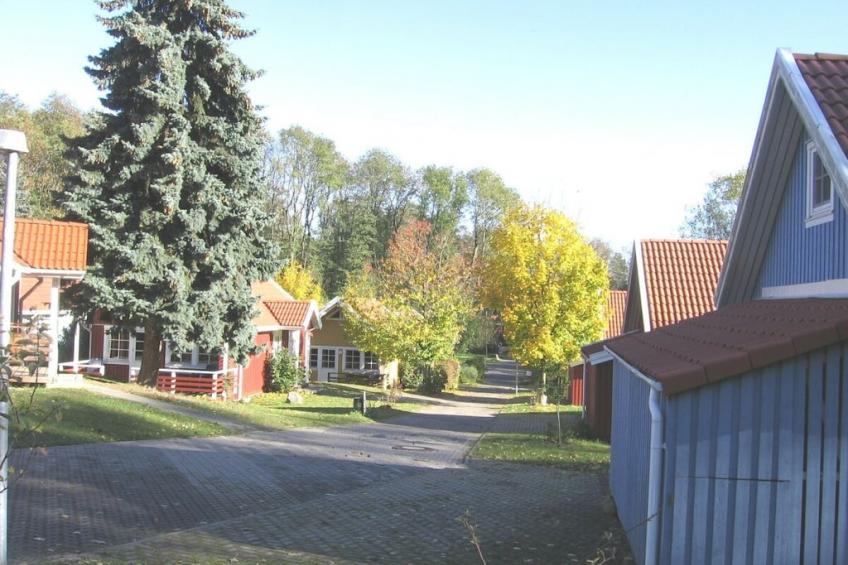 797619 - foto 29