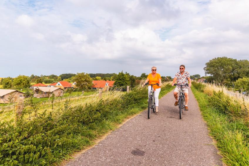 Villavakantiepark IJsselhof - foto 5