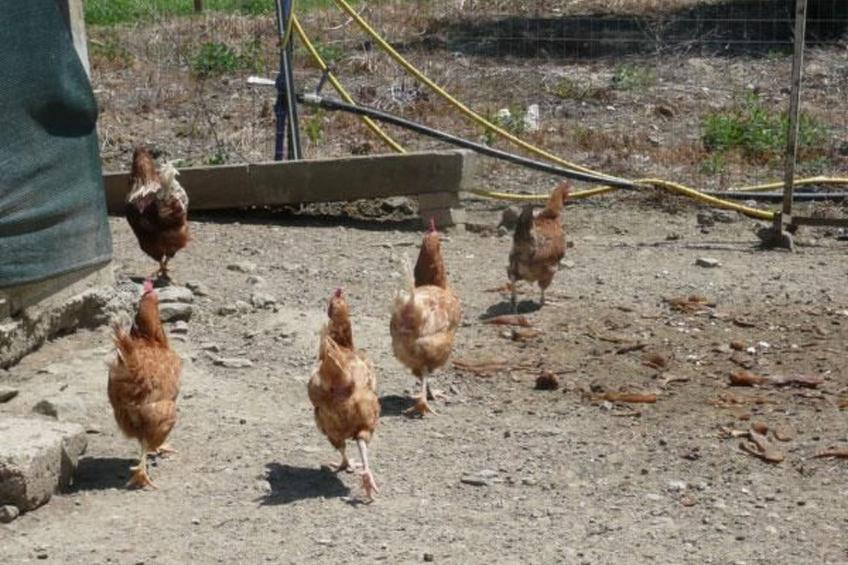 Wohnung 'Romantisches Studio mit Seeblick' - foto 15