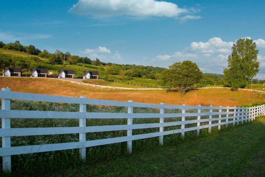 Mountain View Resort (Luka) - foto 7