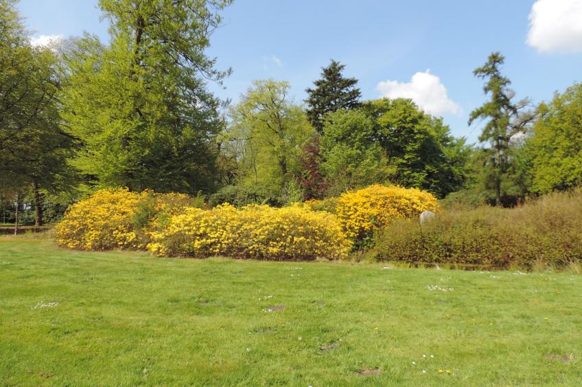 Dat luettje Huus 1 - foto 44