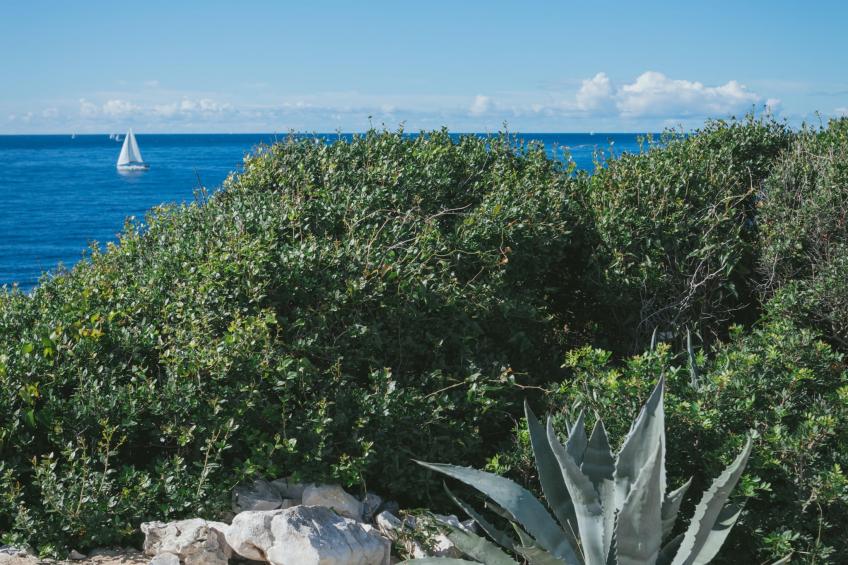 Adriatic Heritage Glamping No 1 - foto 42