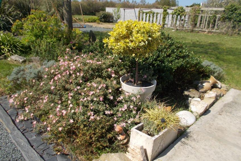 Bretonisches Ferienhaus in Meeresnähe mit Garten - foto 32