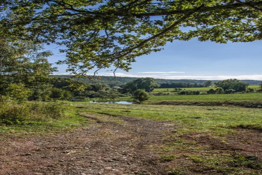 Im Erzgebirge - foto 25